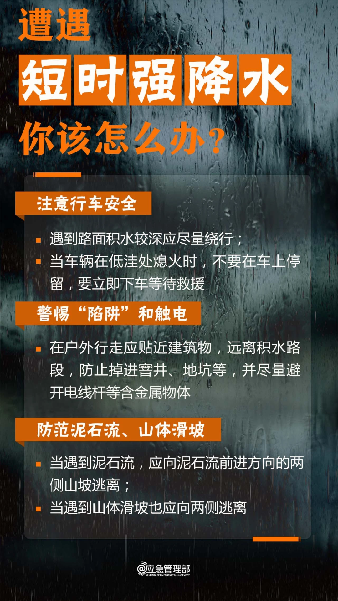 /resources/public/20240613/666a4b10d36c5cd4617b5f36.png
