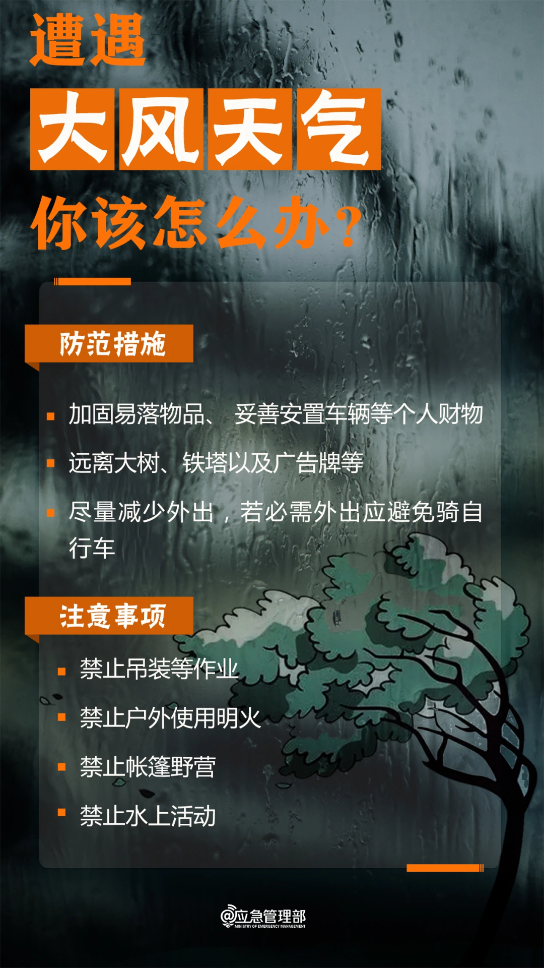 /resources/public/20240613/666a4b16b65d85ebac3408fd.png